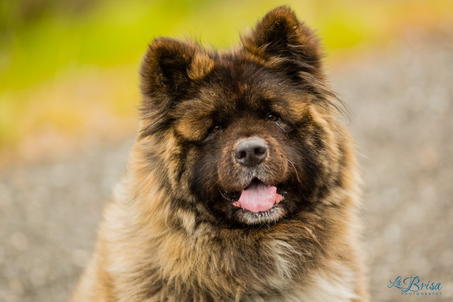 20140711_ChugachStatePark_002