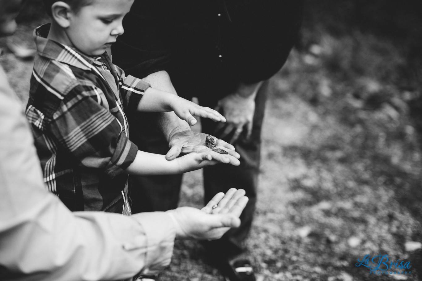 The S Family Portraits | Joy Session | Indiana | Sarah Gudeman Tippecanoe State Park Winamac