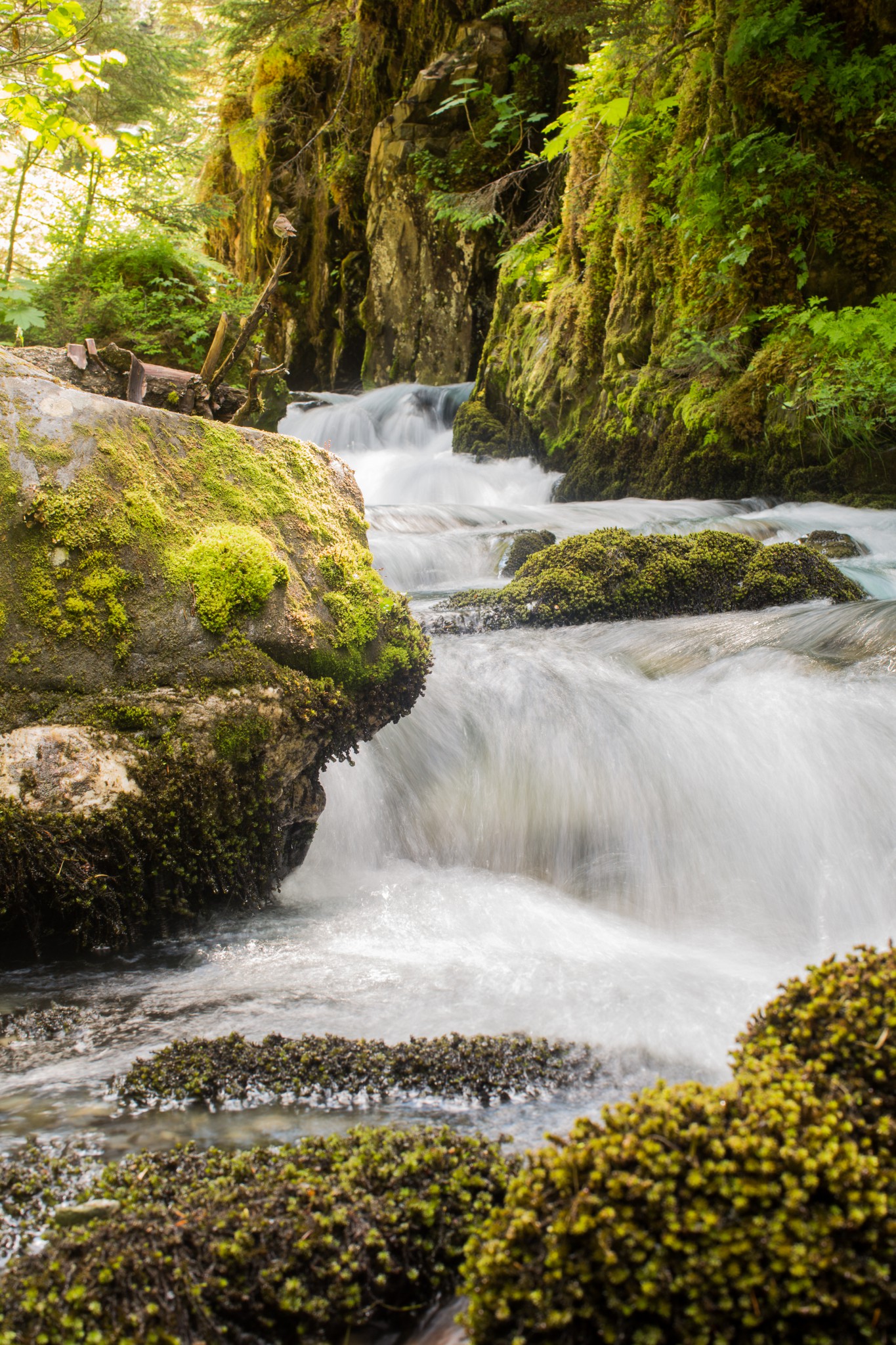 Hawaii Waterfall #PFaC #PFaC_Nepal Autumn Shoemaker Photography Nepal Earthquake Relief