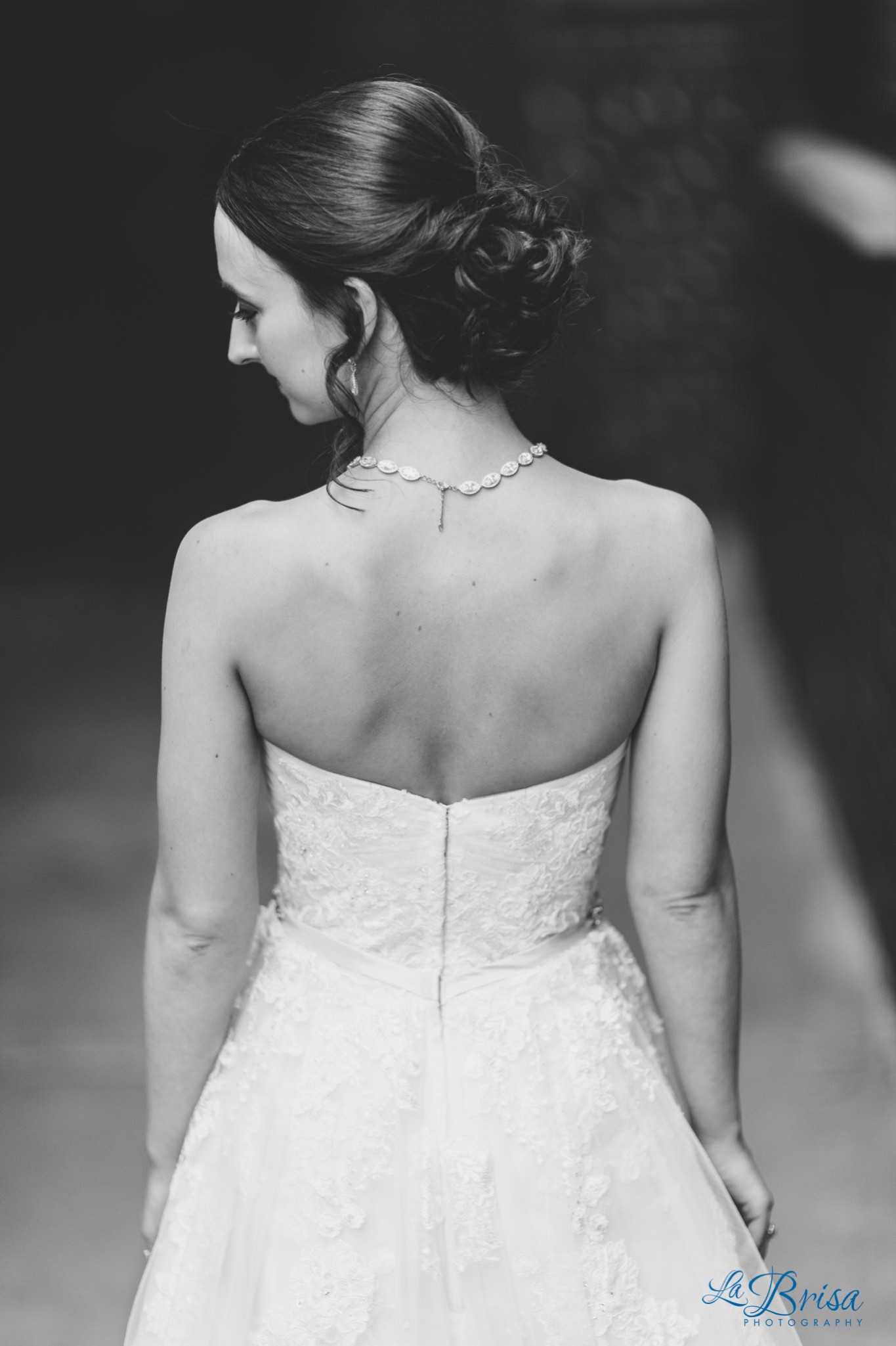 Bridal Portrait Black and White Neckline Back of Dress