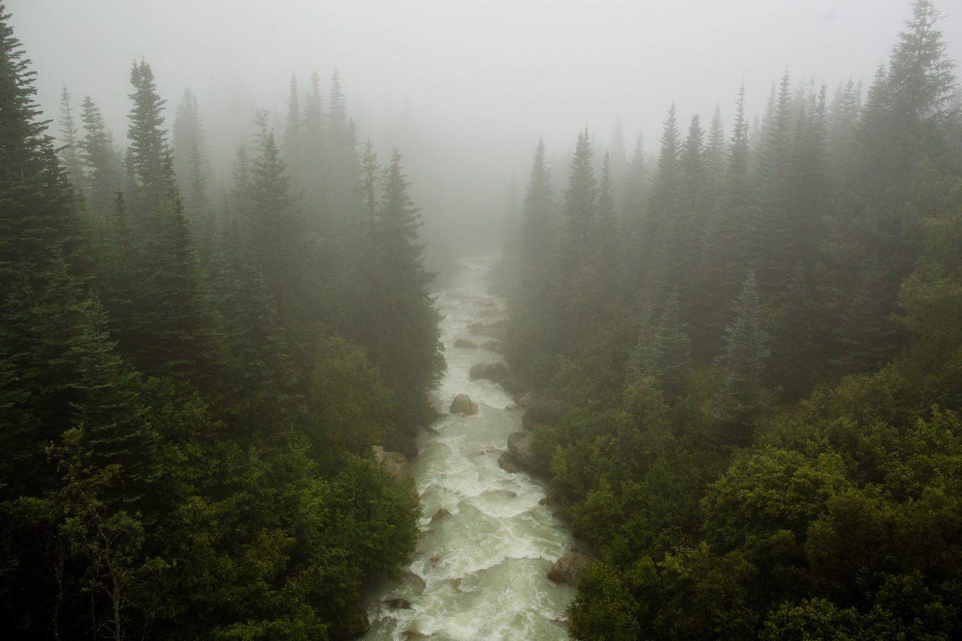 Alaska River Forest #PFaC #PFaC_Nepal Chris Hsieh Photography Nepal Earthquake Relief