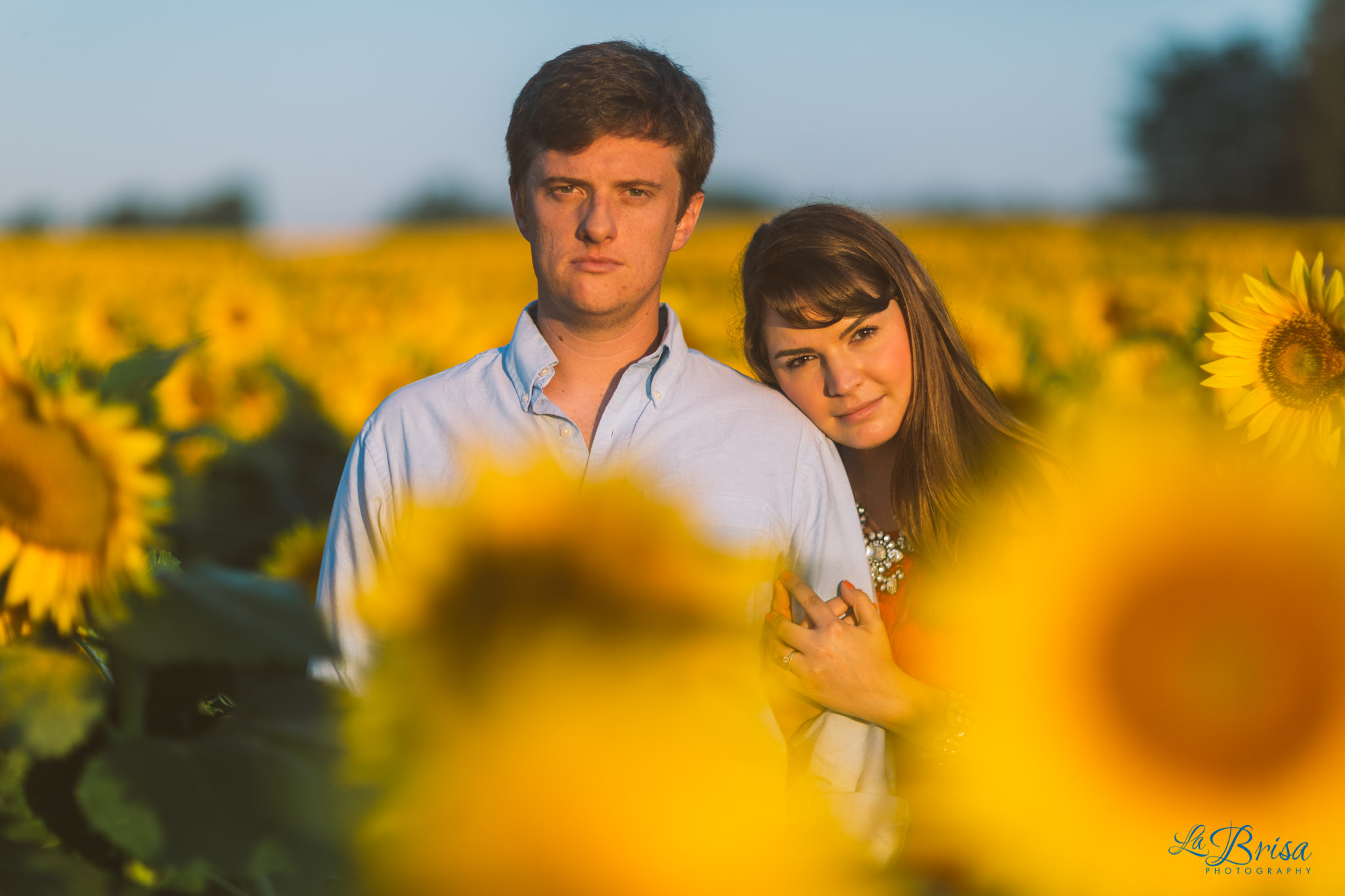 Grinter Farms Sunflower Field Engagement Photography La Brisa Chris Hsieh