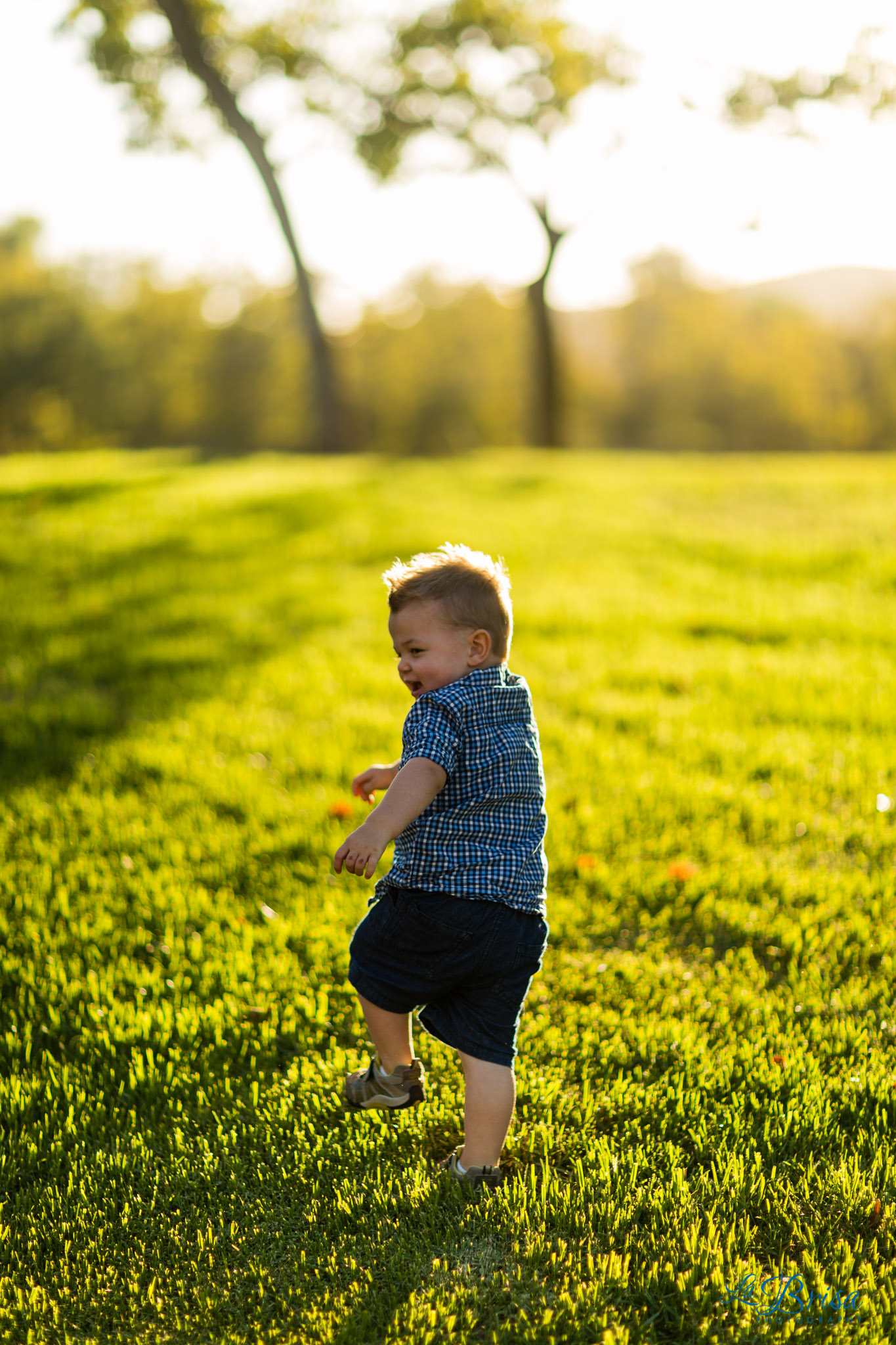 Family Photographer Chris Hsieh La Brisa Photography