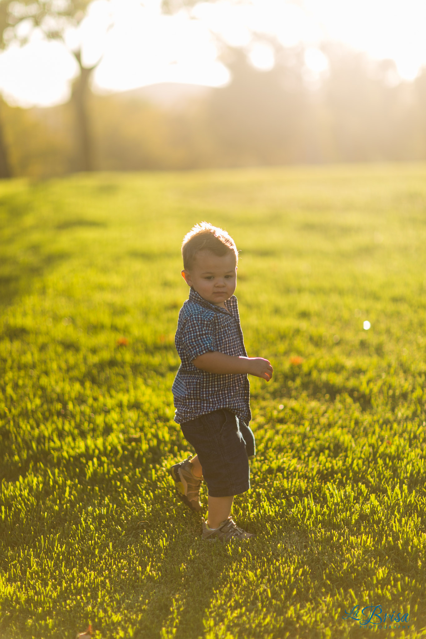 Family Photographer Chris Hsieh La Brisa Photography