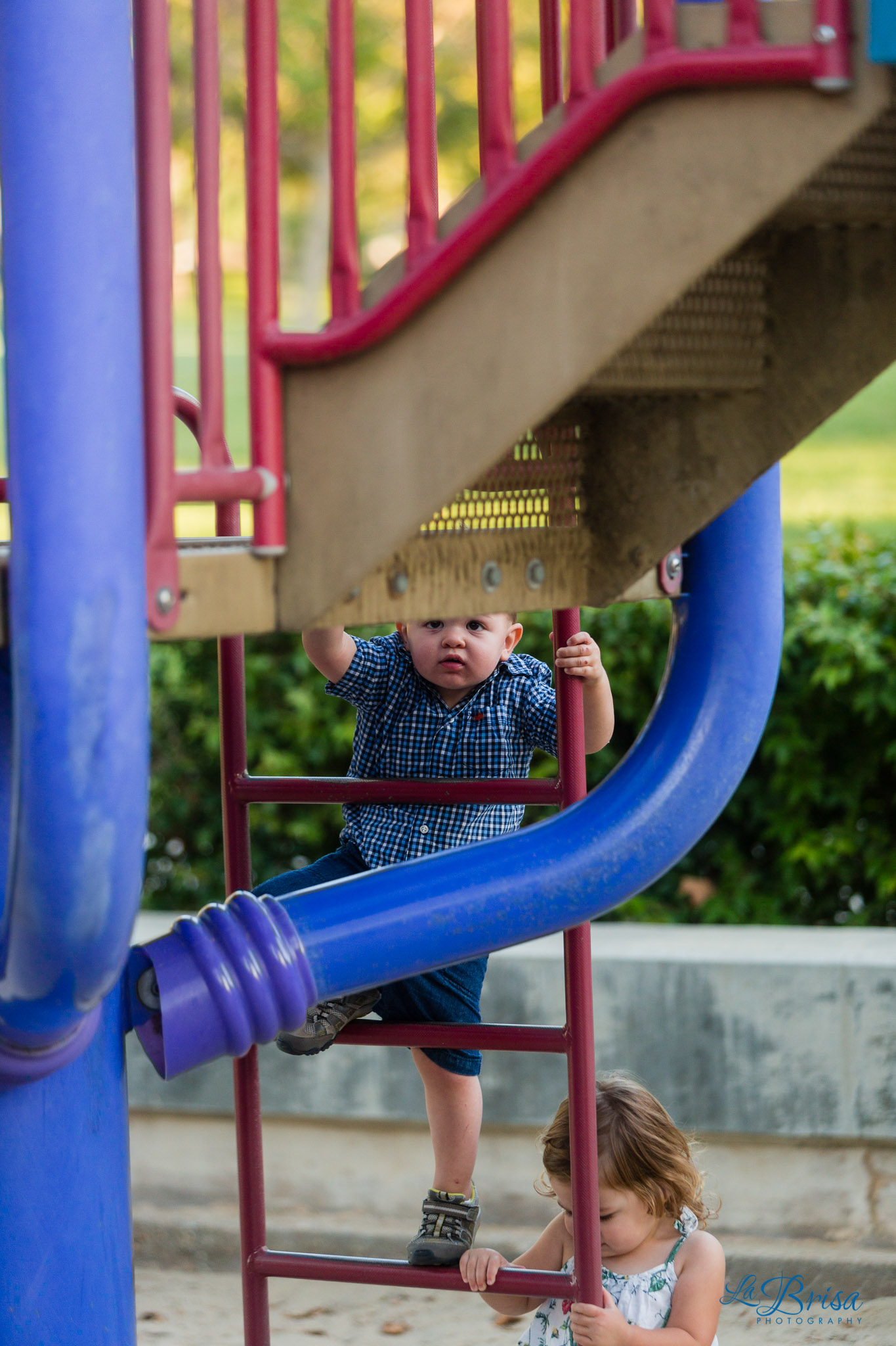 Family Photographer Chris Hsieh La Brisa Photography