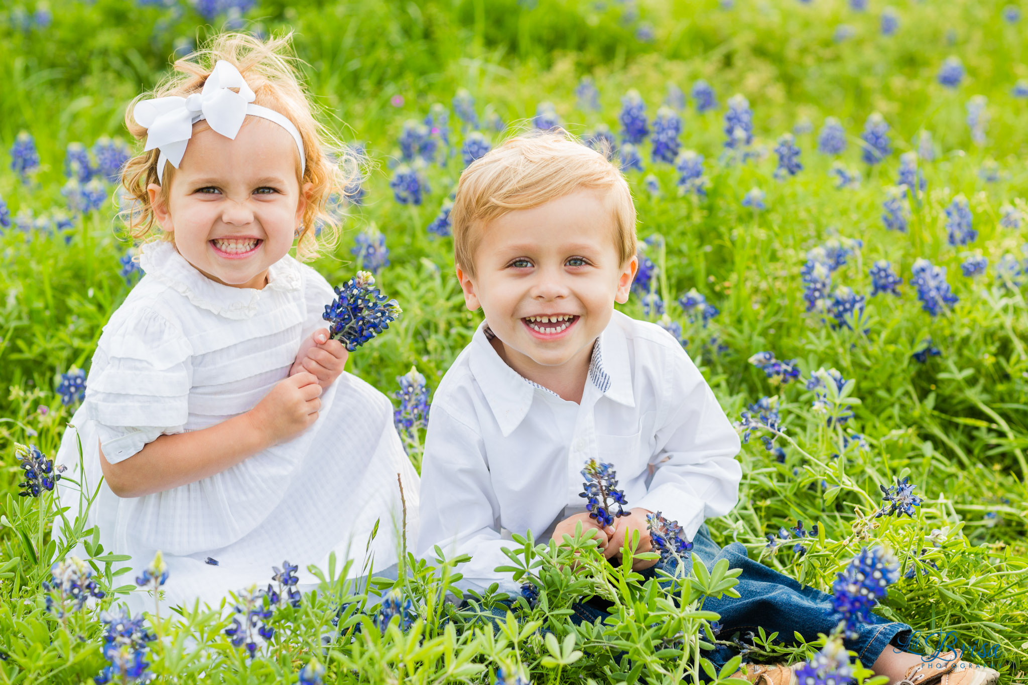 Bluebonnet Family Photographer