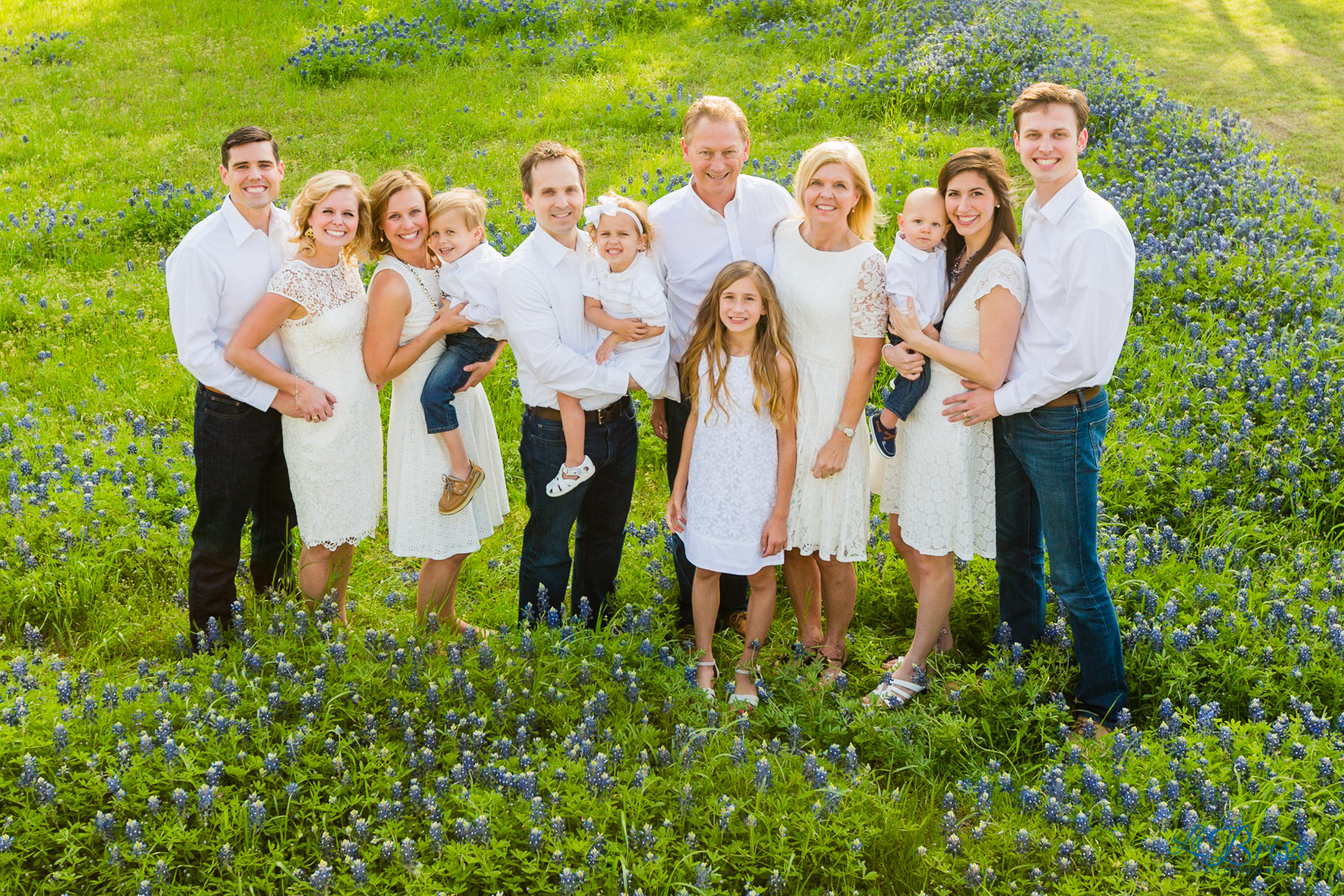 Bluebonnet Family Photographer