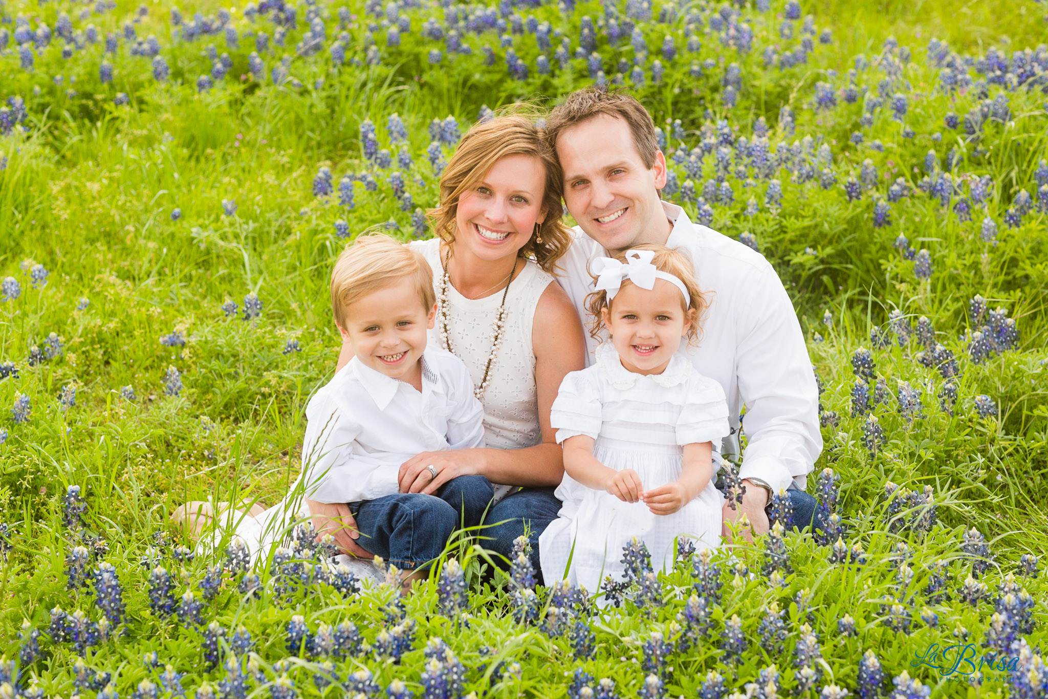 Bluebonnet Family Photographer