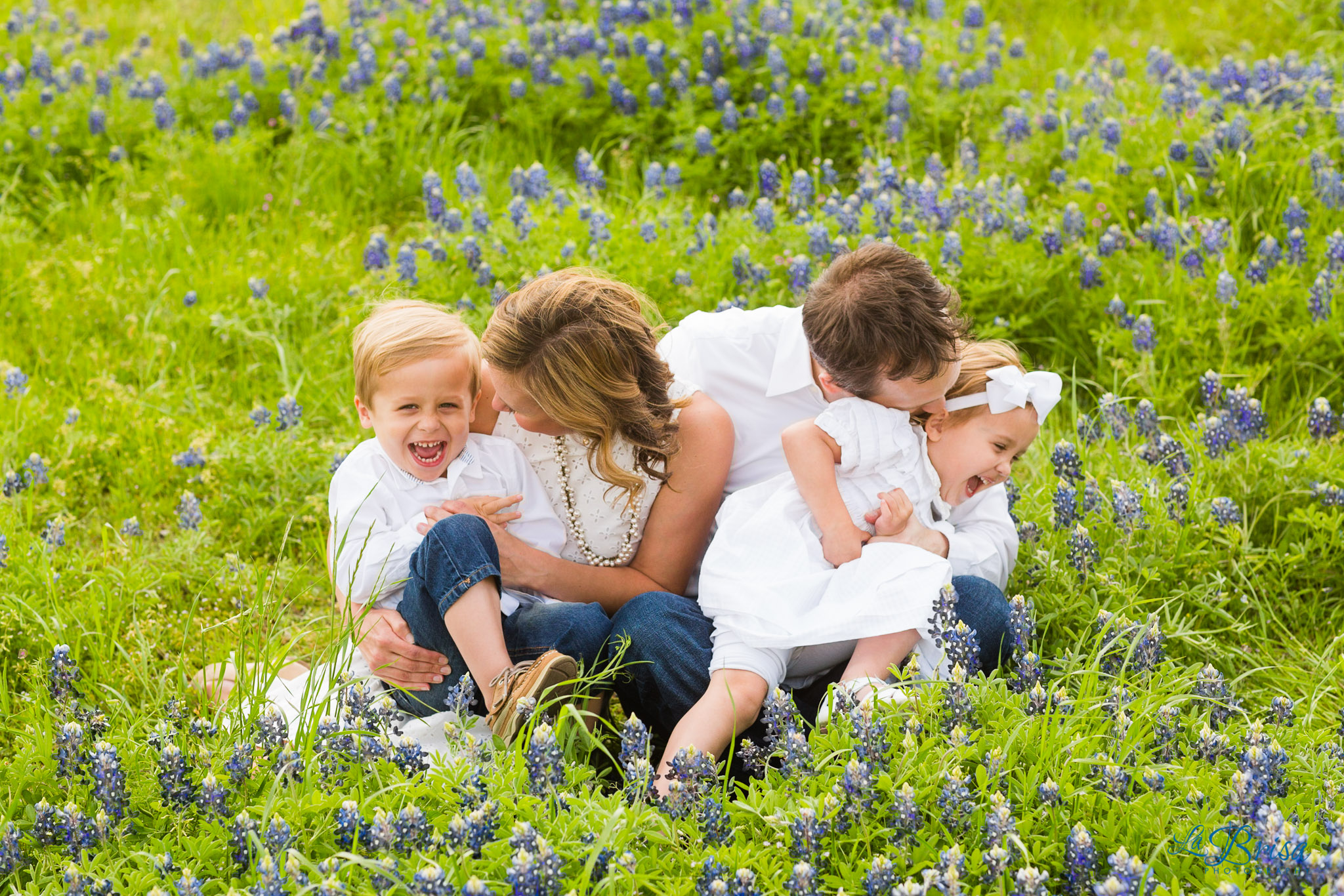 Bluebonnet Family Photographer