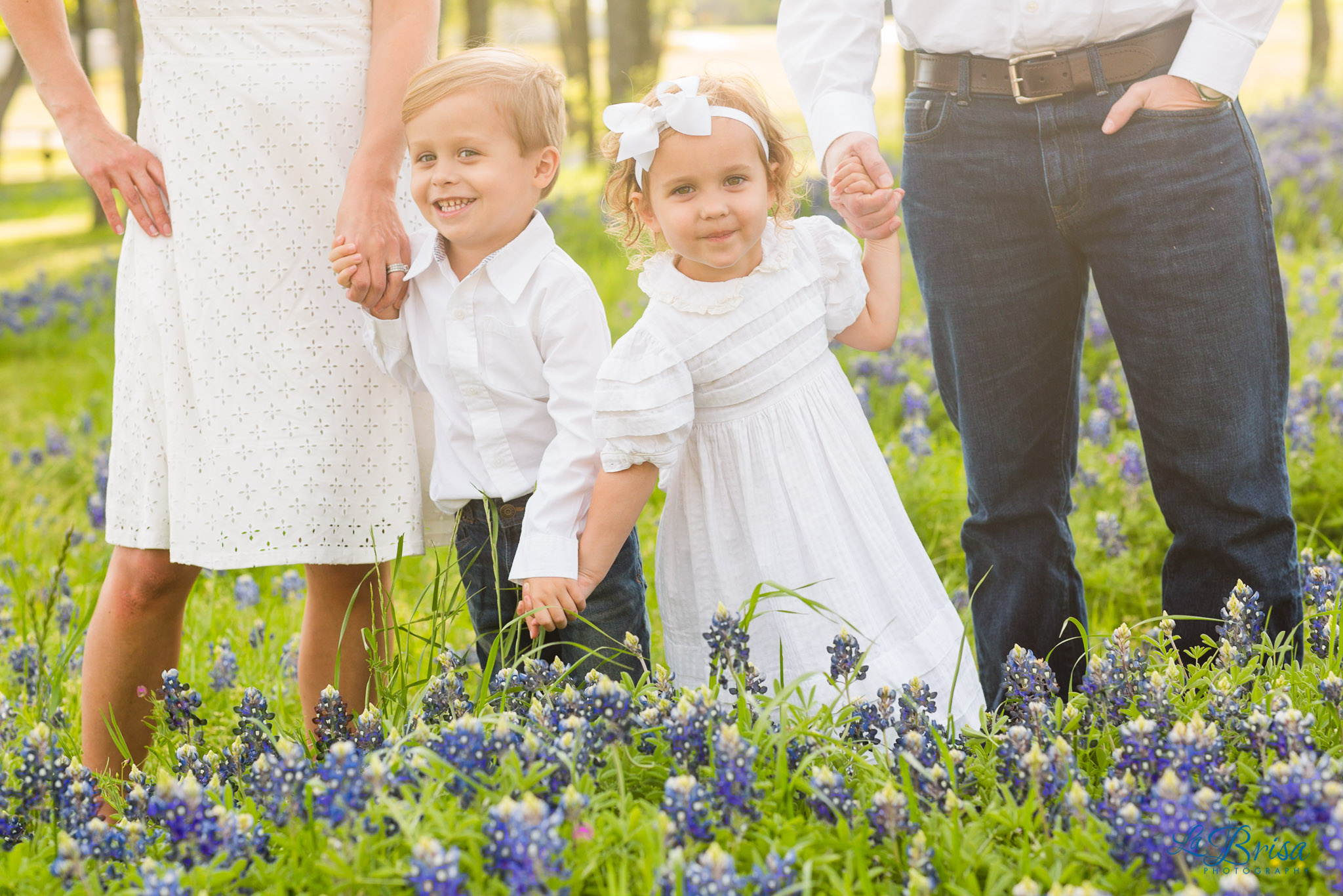 Bluebonnet Family Photographer