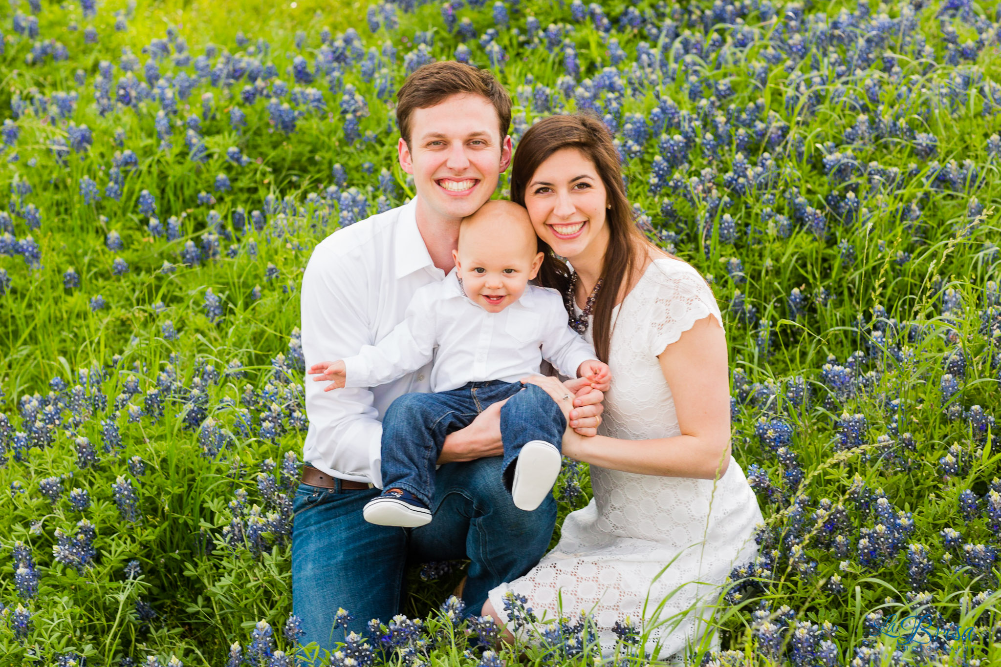 Bluebonnet Family Photographer