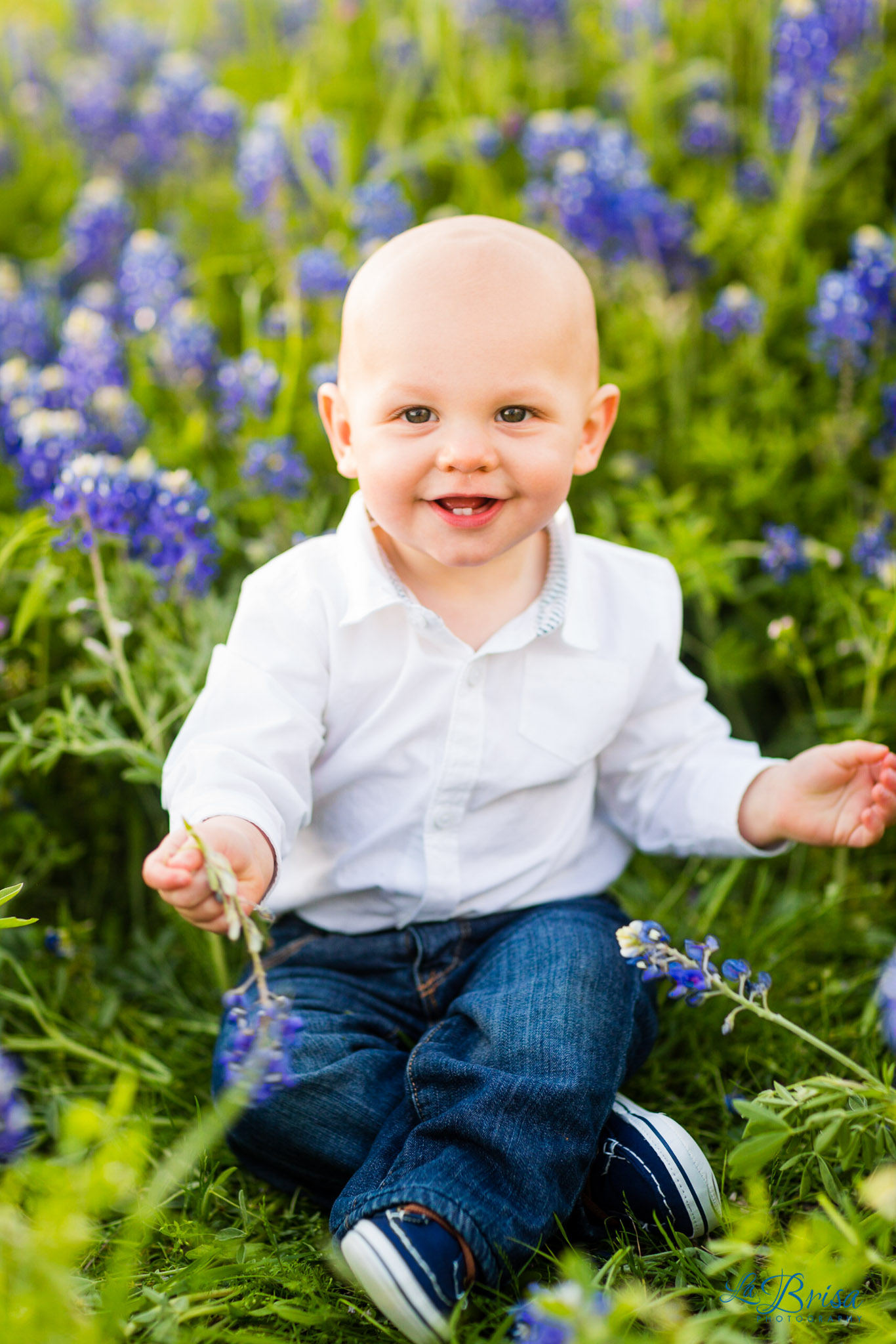 Bluebonnet Family Photographer