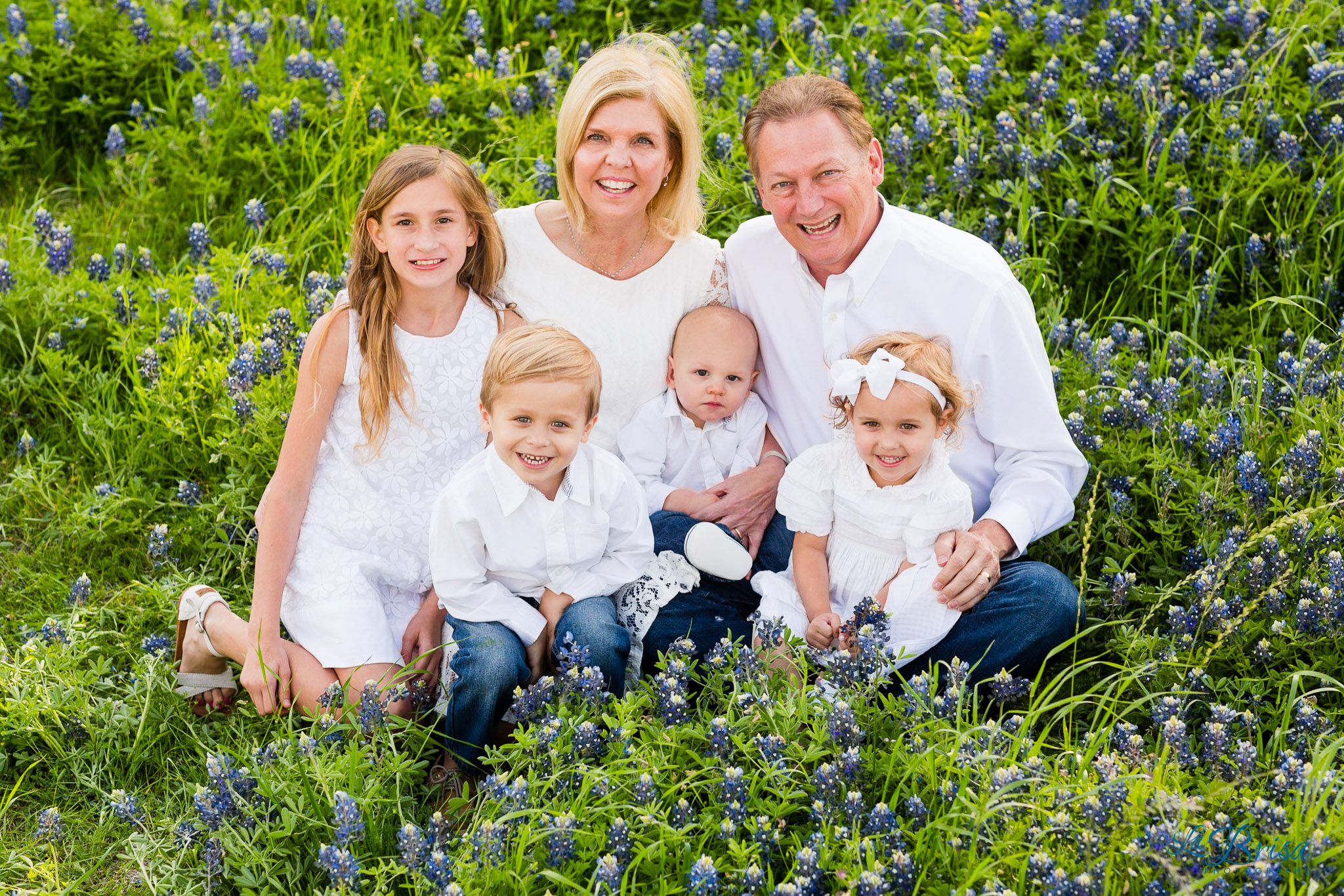 Bluebonnet Family Photographer