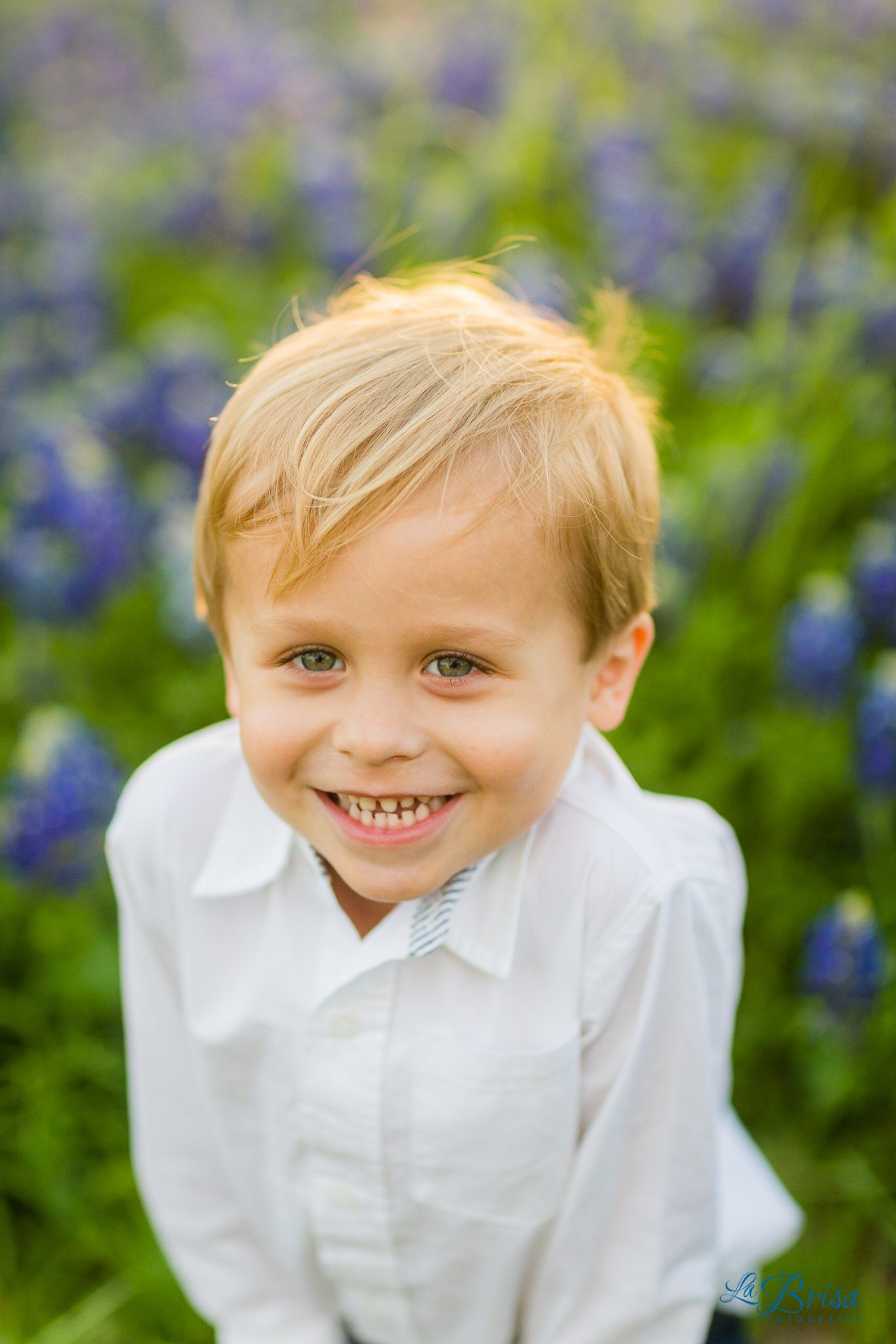 Bluebonnet Family Photographer