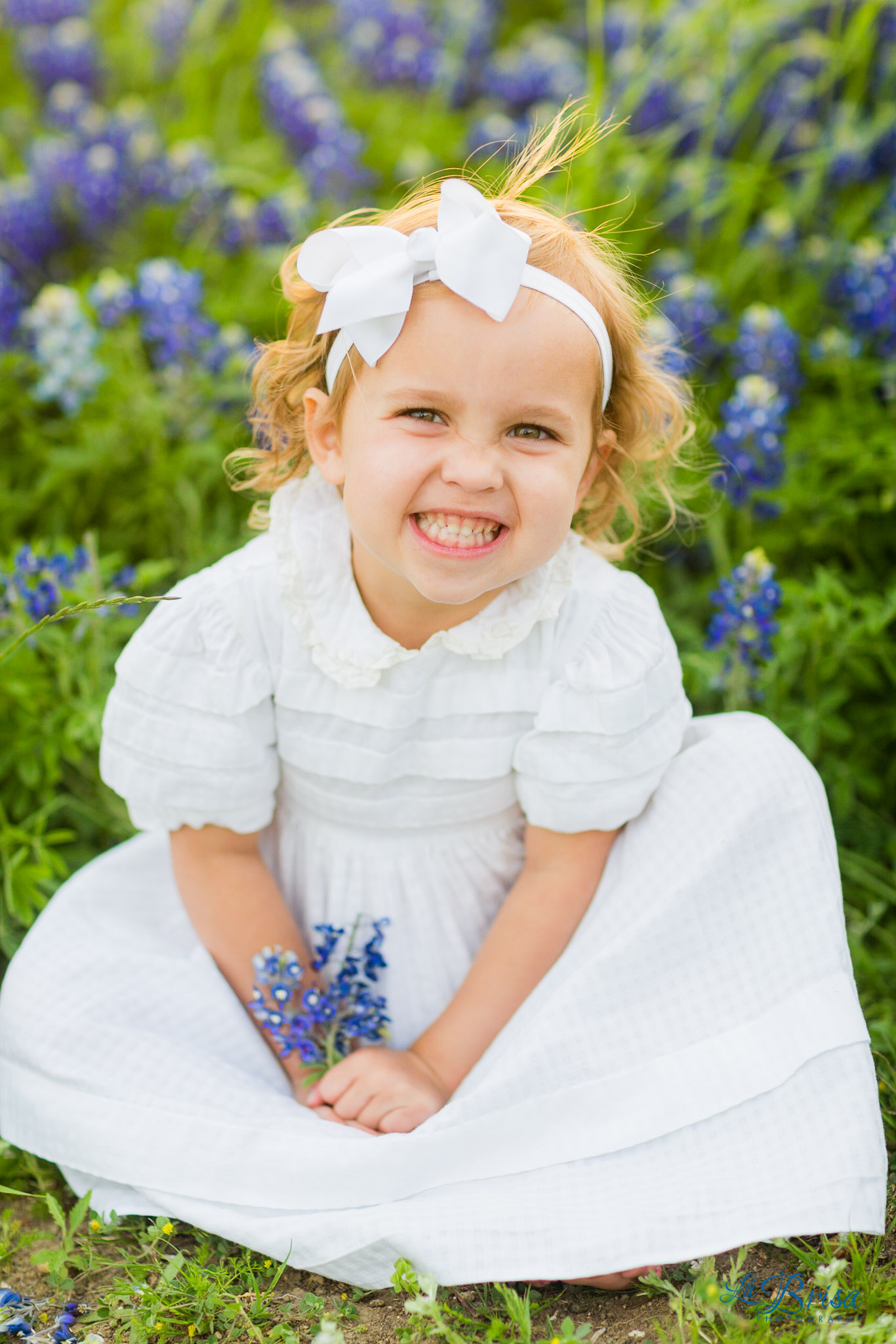 Bluebonnet Family Photographer