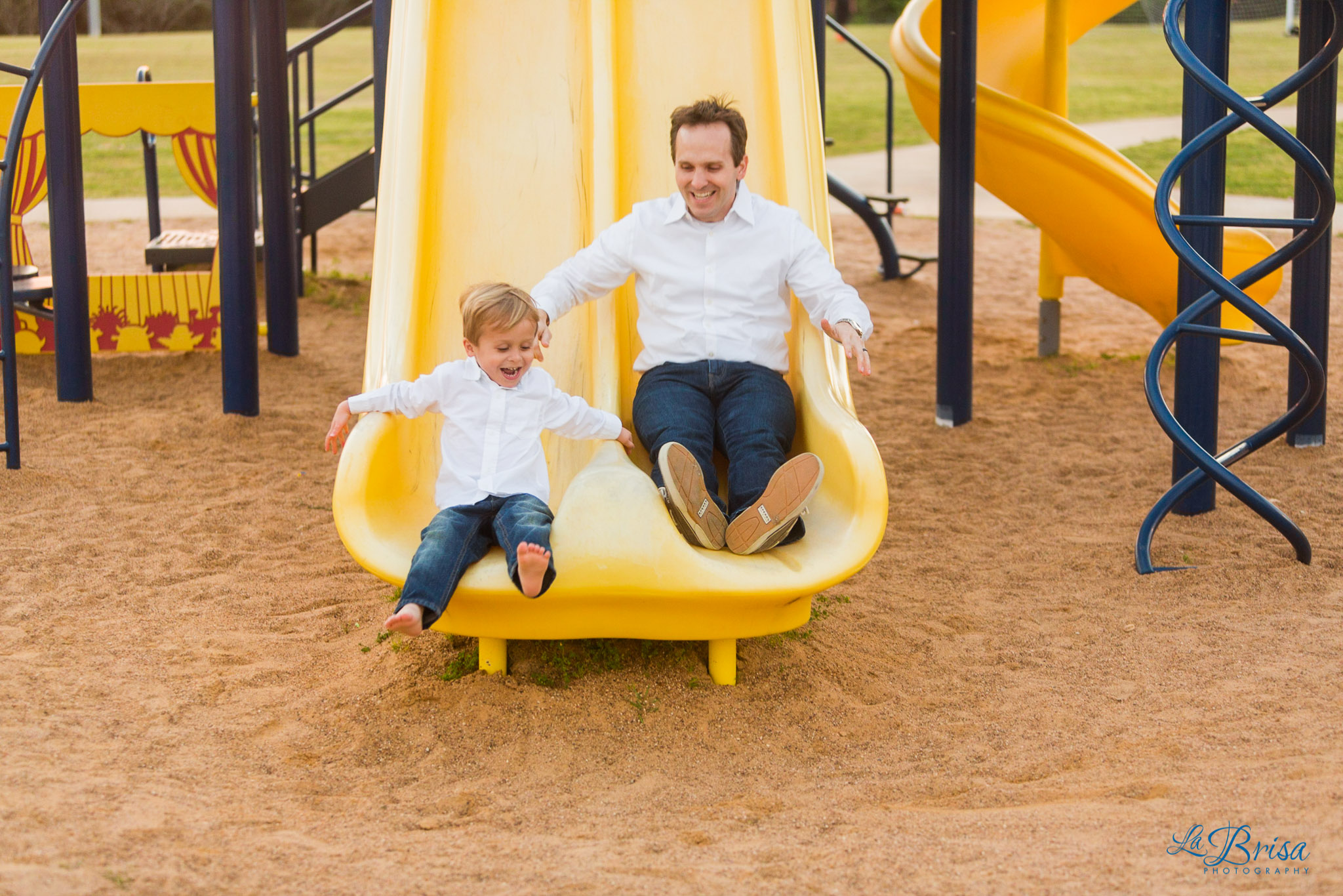 Bluebonnet Family Photographer