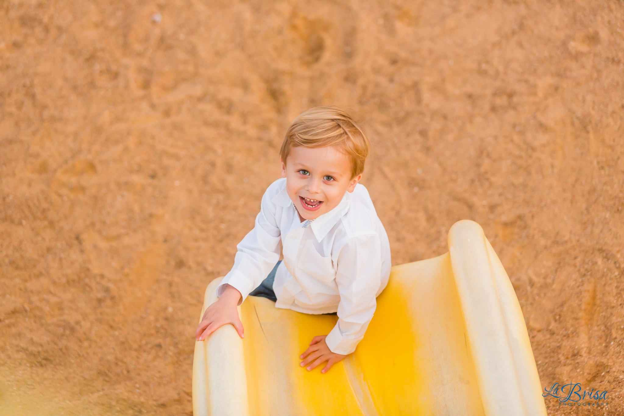 Bluebonnet Family Photographer