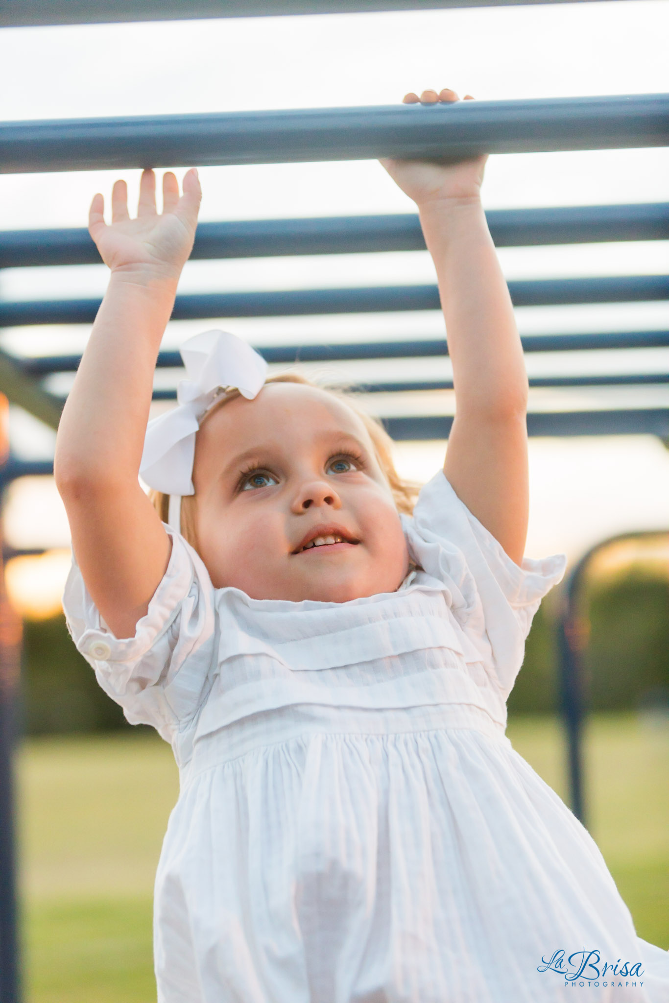 Bluebonnet Family Photographer