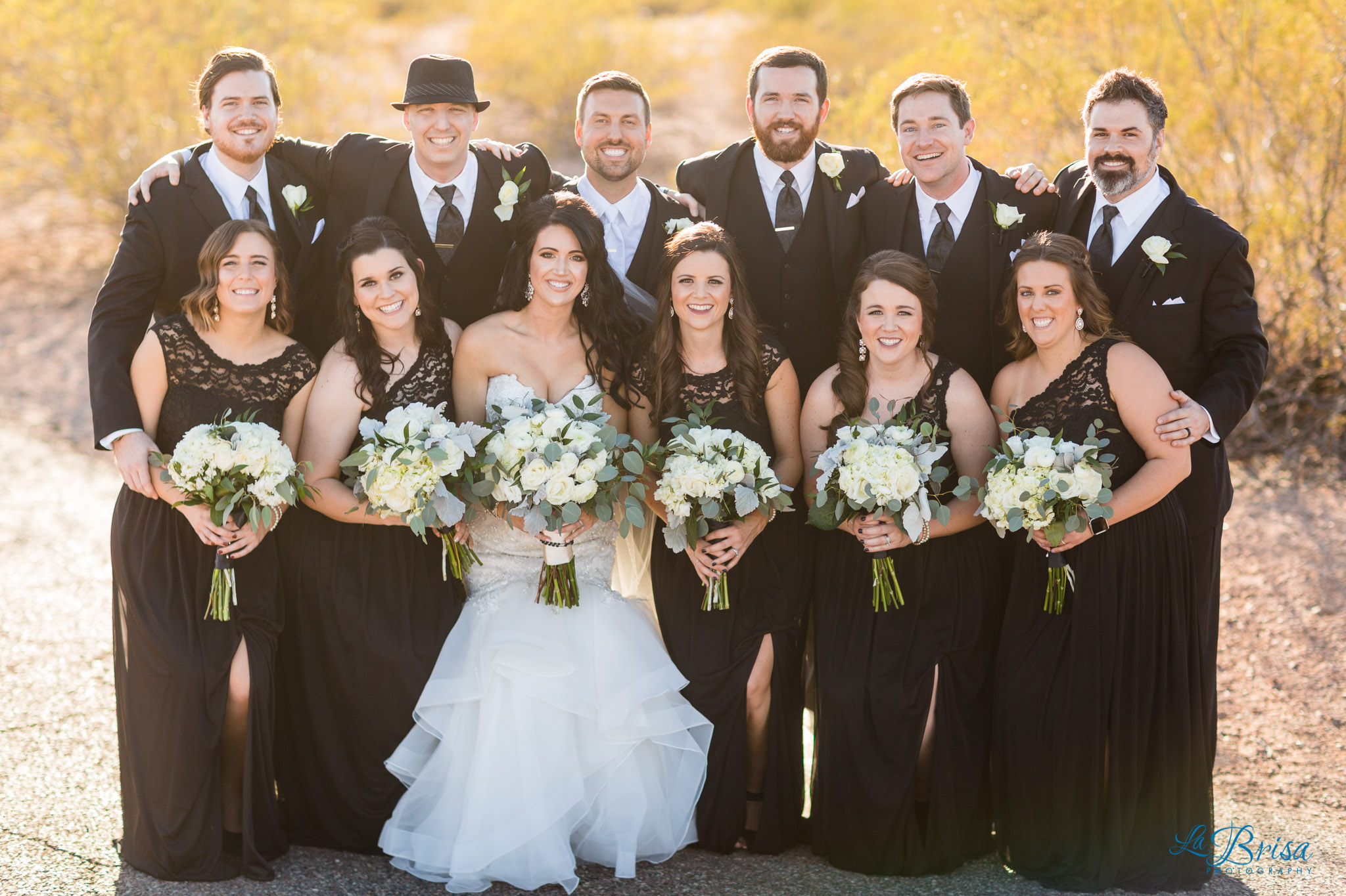 Papago Park Wedding Party