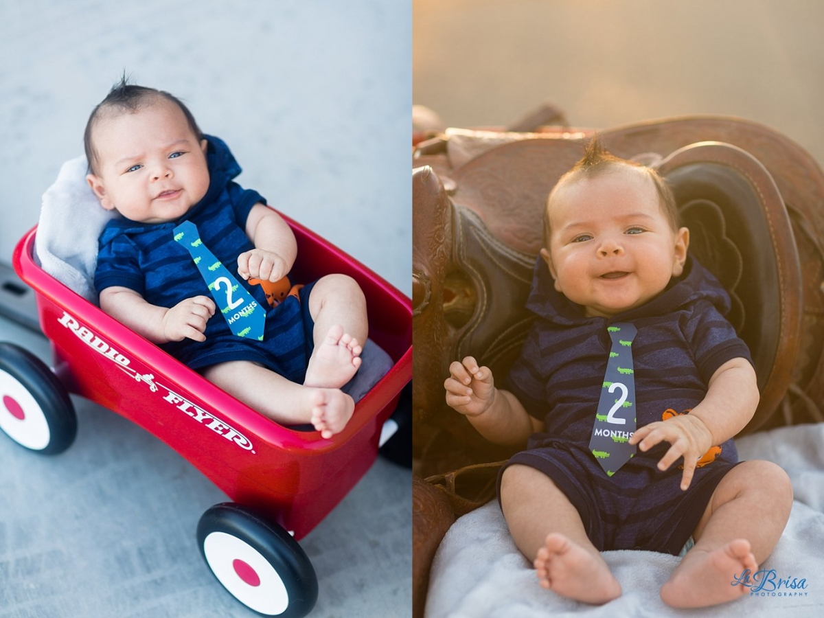 2 month old Baby Photographer