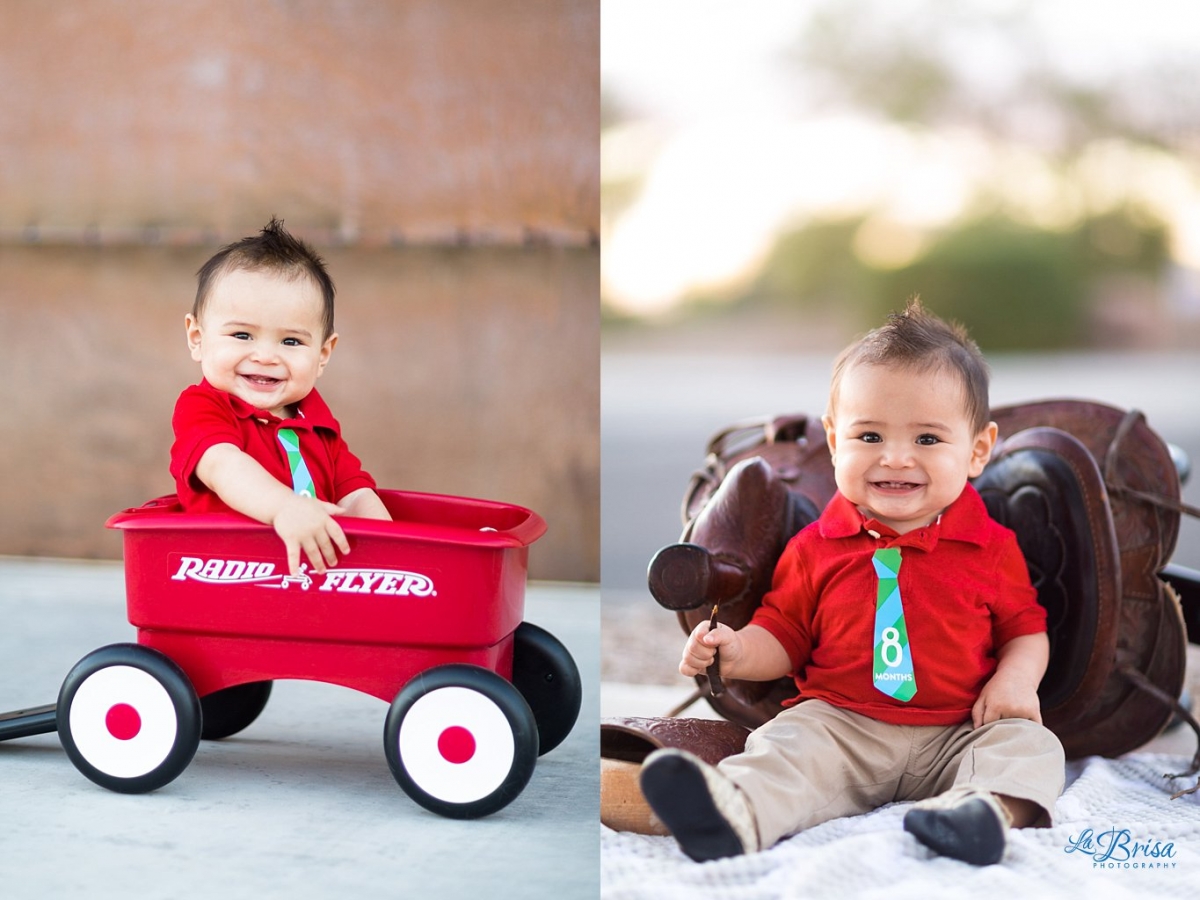 8 month old Baby Photographer