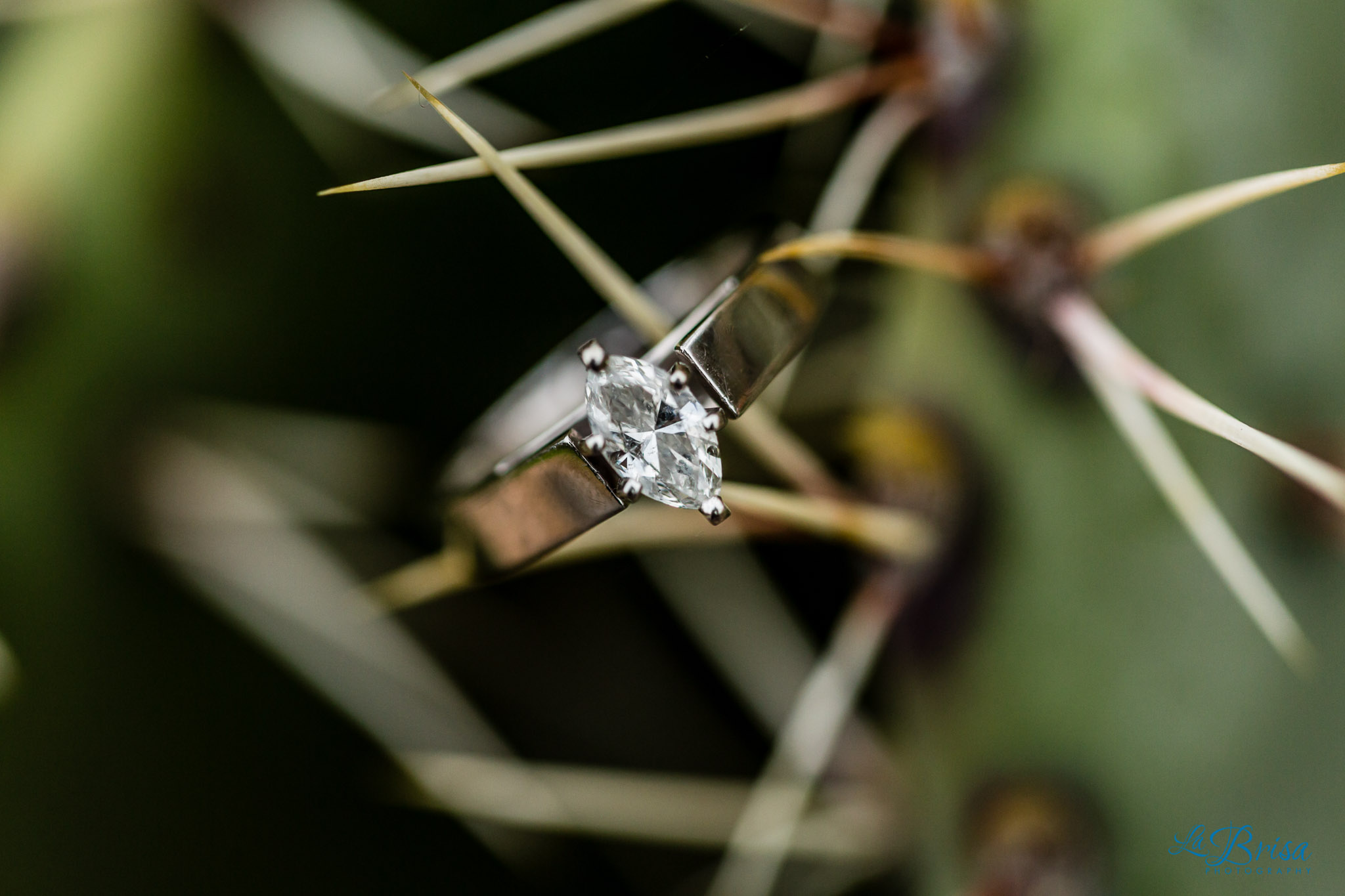 Saguaro wedding ring 