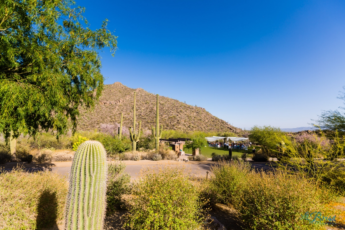 Ritz Carlton Dove Mountain Wedding